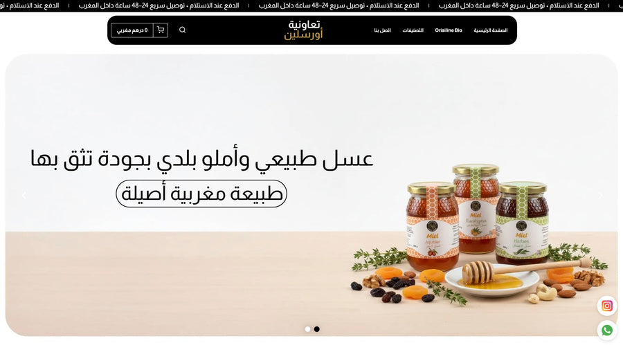 Orisline — Full Store Design